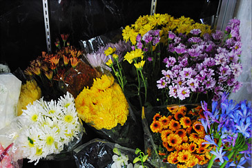 Fresh Supply of Local and Imported Flowers