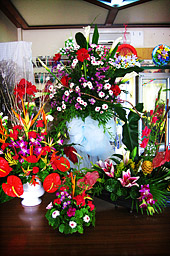 Beautiful Flower Arrangements for any Occassion